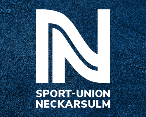Handball Power Camp der SU Neckarsulm